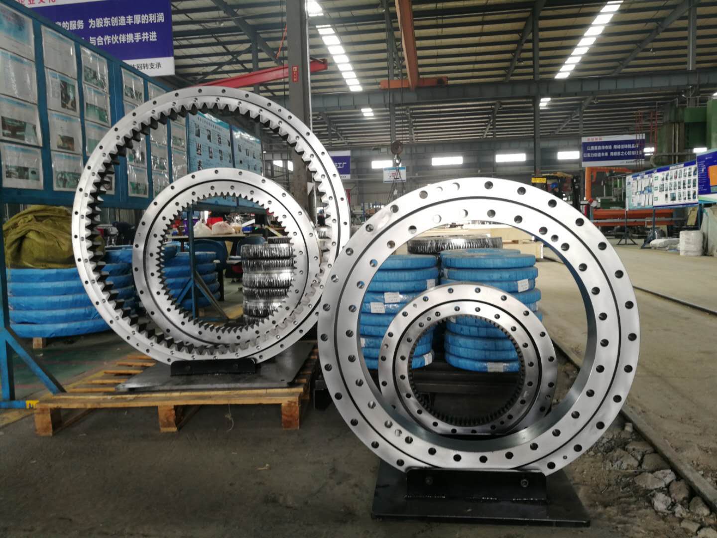 Сіз теңіз кранын ұйықтайтын білесіз бе?