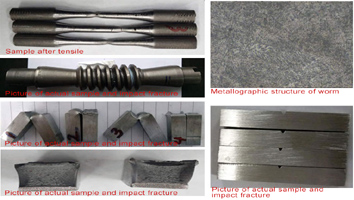 Технология бөлімі Қытай тау-кен және технология университетінің профессорын шақырды