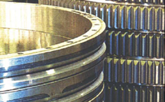 Бір жолдың шарлы ұйқышылдық сақиналы